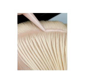 Toning for the Power Blonde Look